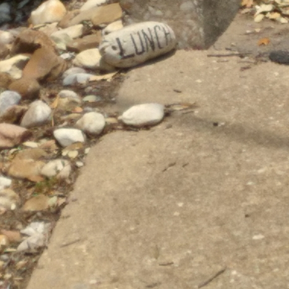 Meet your Posher, Lisa - Picture 2 of 2